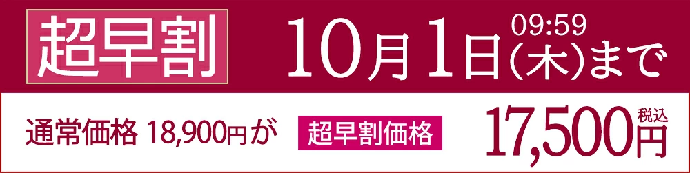 超早割価格「カメリアsimple」